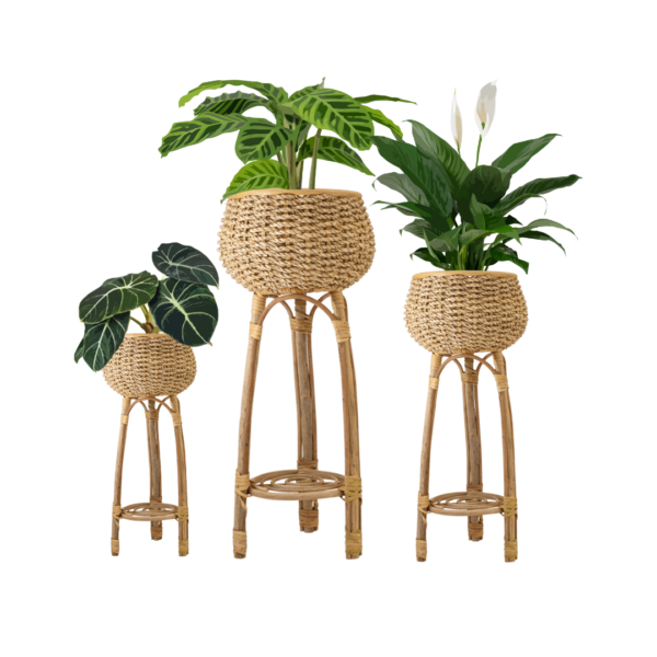 Jakyn Rattan Planters