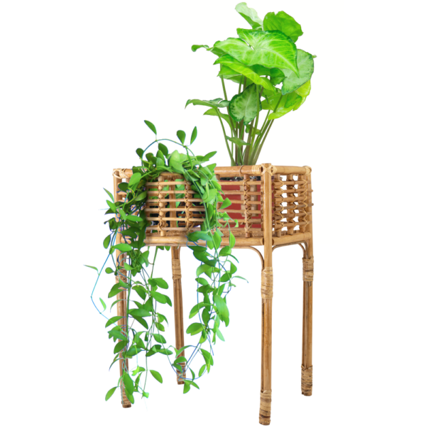 Faith Rattan Rack